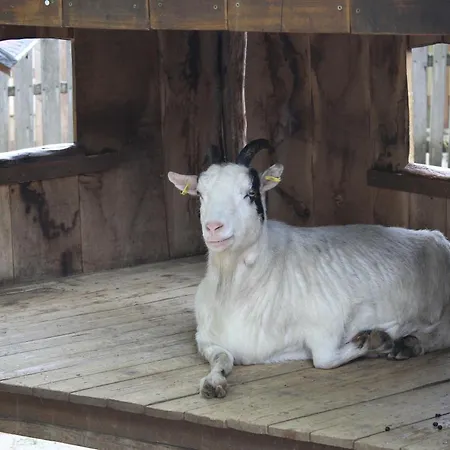 아파트 Holliday And Work *