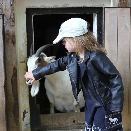 아파트 Holliday And Work *