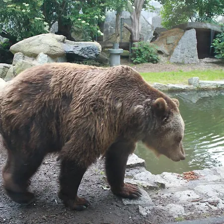 Holliday And Work * 비쇼프스베르다