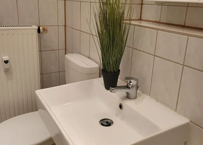 شقة Holliday And Work