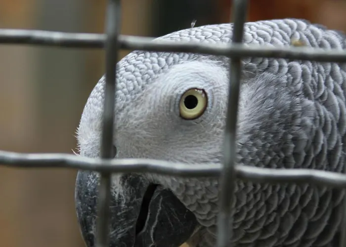 شقة Holliday And Work