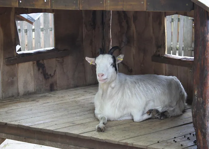 شقة Holliday And Work *