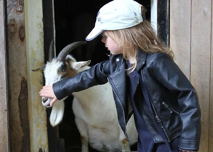 شقة Holliday And Work *