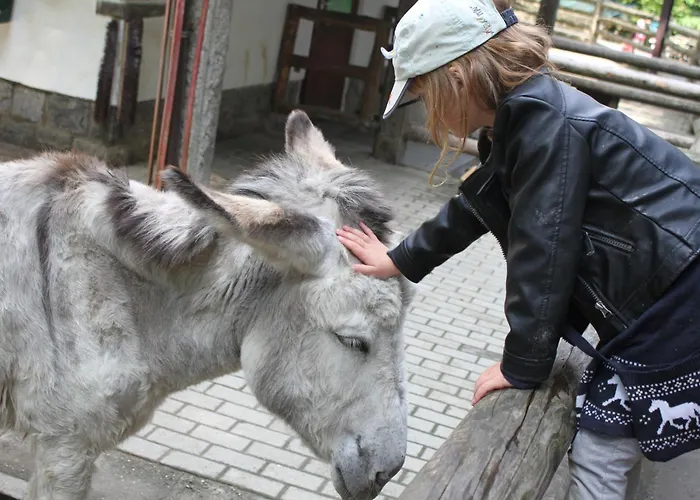 شقة Holliday And Work بيشوفسفيردا