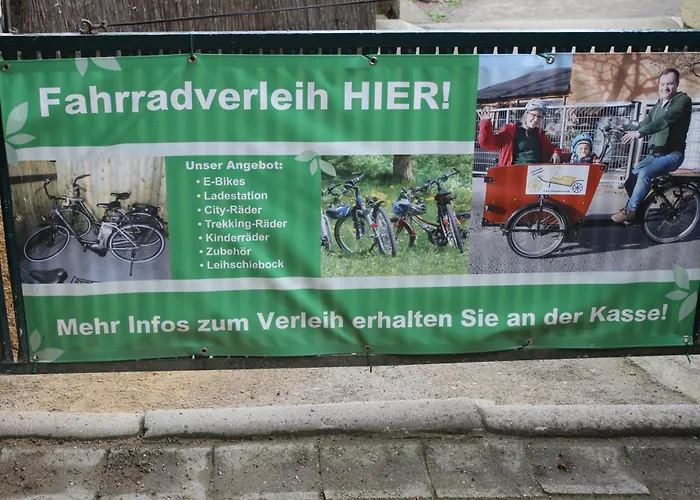 Holliday And Work بيشوفسفيردا