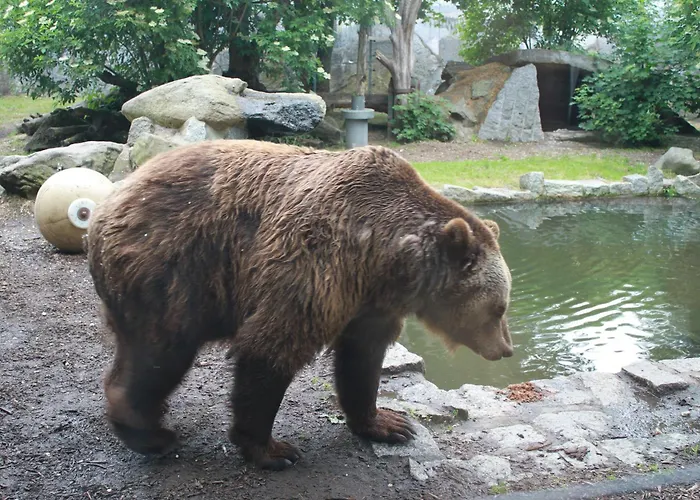 Holliday And Work * بيشوفسفيردا